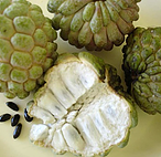 Custard Apple